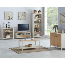 Load image into Gallery viewer, Dunmore Painted Tall Bookcase