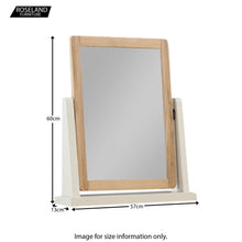 Load image into Gallery viewer, Dunmore Painted Vanity Mirror
