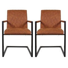 Load image into Gallery viewer, Dayton Dining Chairs - Set of 2 Chairs
